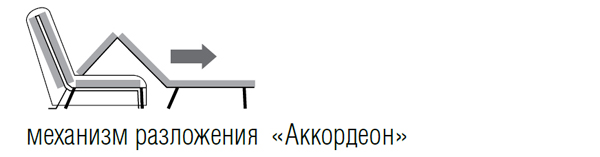 accordeon1.jpg